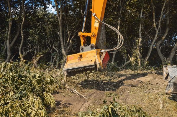 Cost of Brush Removal Service in Magnolia