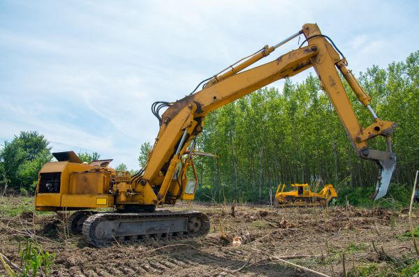 Cost of Farm Clearing in Magnolia