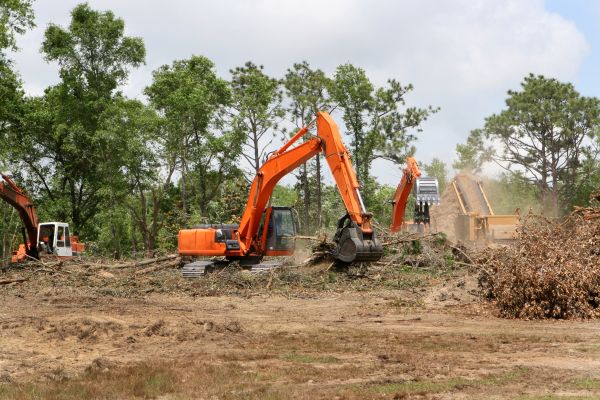 Cost of Commercial Lot Clearing in Magnolia