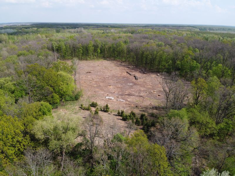 Experienced Land Clearing Professionals