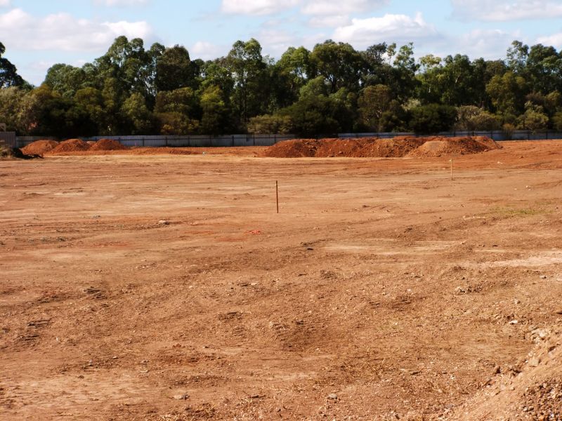 Customized Clearing Plans